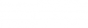 Logo_Netzwerk_2